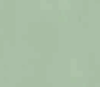 Green bean